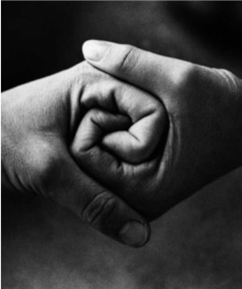 unione_fa_forza1 unione_fa_forza1